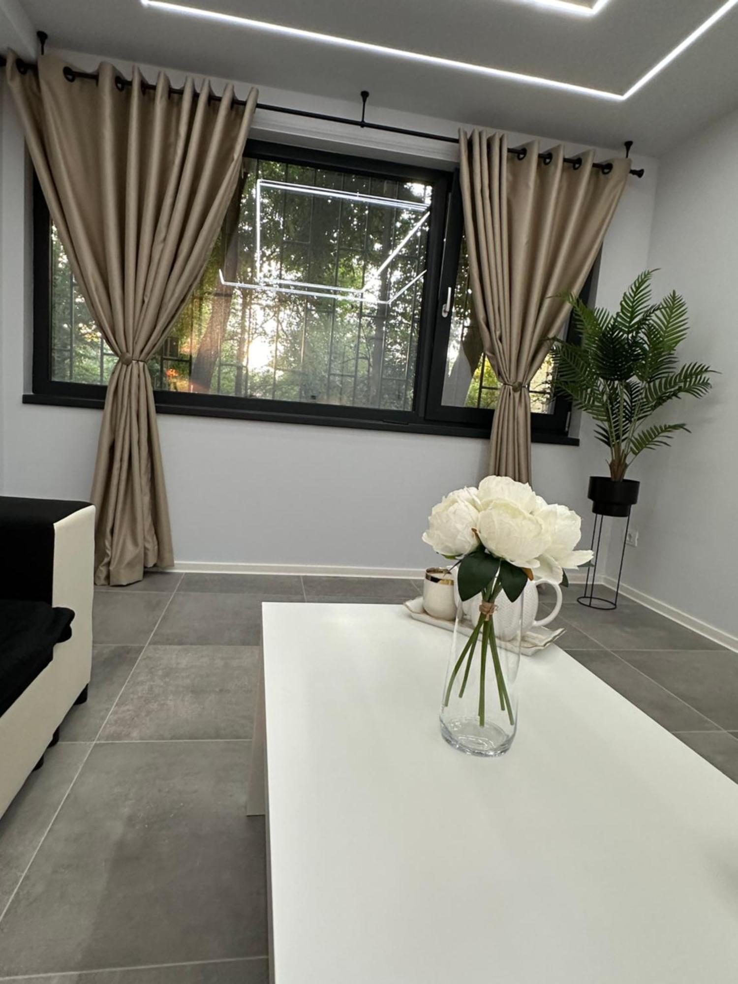 Ppu Home Timisoara Exterior photo